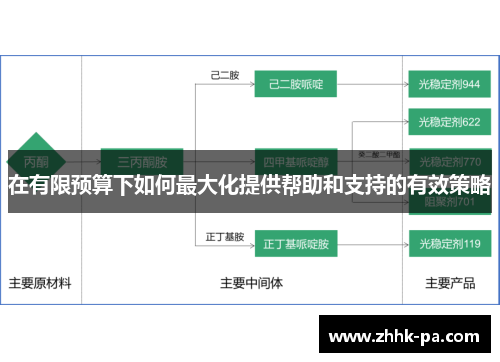 在有限预算下如何最大化提供帮助和支持的有效策略
