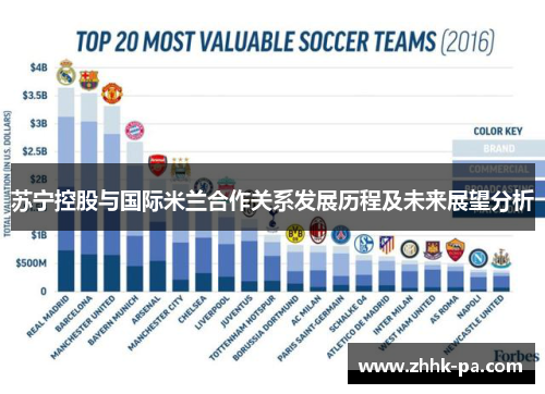 苏宁控股与国际米兰合作关系发展历程及未来展望分析 苏宁控股与国际米兰合作关系发展历程及未来展望分析