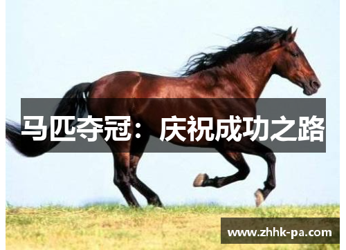 马匹夺冠：庆祝成功之路