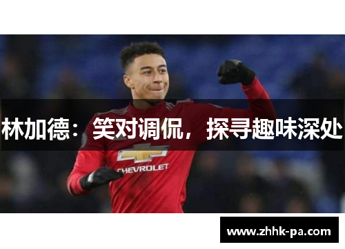 林加德：笑对调侃，探寻趣味深处