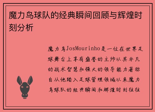 魔力鸟球队的经典瞬间回顾与辉煌时刻分析